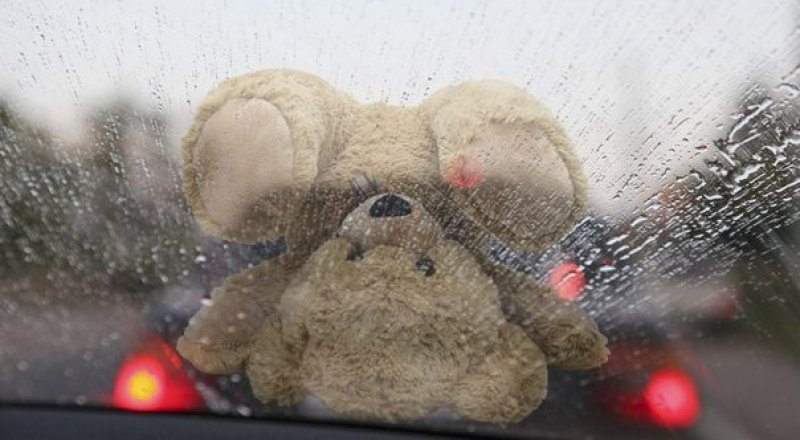 Иллюстративное фото