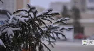 Осадки ожидаются в южной части Казахстана в выходные дни