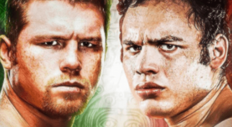 Коллаж с сайта tout-sur-la-boxe.net