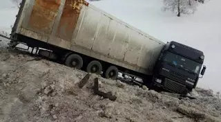 Грузовик с редкими тиграми бросили на дороге в России