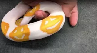 Питона с эмодзи на коже вывел американец