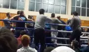 Массовой дракой завершился бой на чемпионате по ММА