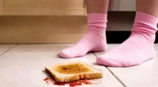 "Правило пяти секунд" для упавшей на пол еды одобрил британский ученый