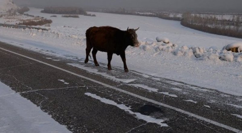 Фото с сайта ca-news.org