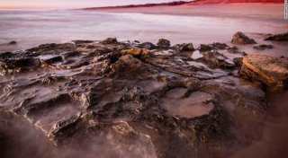 Фото: The University of Queensland / edition.cnn.com