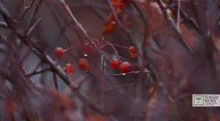 Начало апреля не принесет потепления - синоптики 