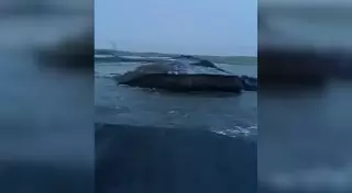 Талые воды размыли республиканскую трассу в Павлодарской области