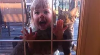 Почему нельзя оставлять животных с детьми