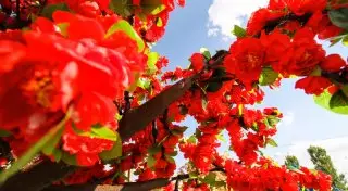 30-градусную жару обещают синоптики в Казахстане