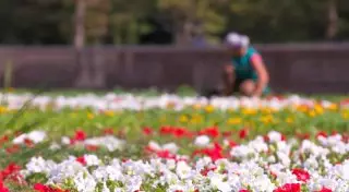 Май принесет в Казахстан потепление и ясную погоду