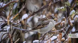 Заморозки ожидаются во многих регионах Казахстана