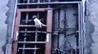 В Китае родители 30 лет держали взаперти "одержимого" сына