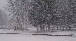 В ВКО несколько городов завалило снегом