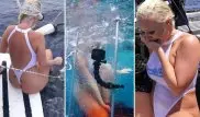 Американскую порноактрису во время съемок укусила акула
