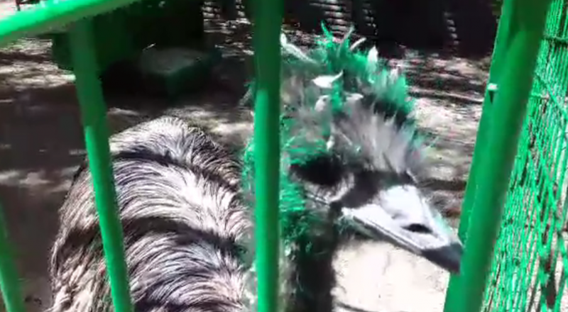 Фото: Facebook/Руслан Минулин