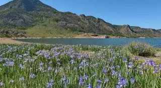 В Павлодарской области презентовали новый туристический маршрут по Баянаулу