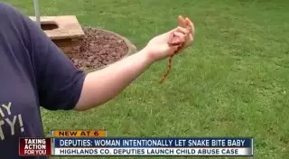 Американка натравила змею на годовалую дочь