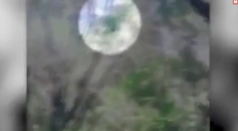 Кадр из видео