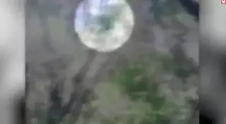 Американец заснял в лесу похожее на йети существо