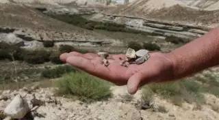 Зубы доисторических акул обнаружила экспедиция по сакральным местам "Киелi Қазақстан"