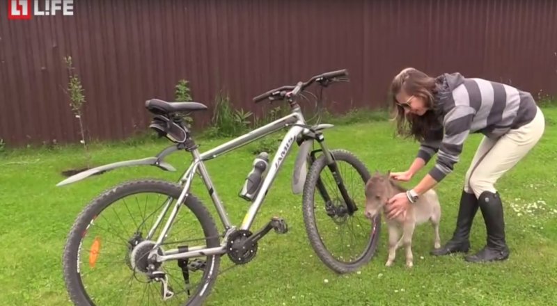 Скриншот с видео