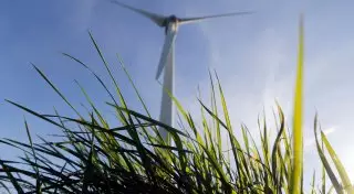 Казахстан первым в СНГ создал условия для перехода к "зеленой" экономике