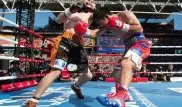 Джефф Хорн в кровавом поединке отобрал чемпионский пояс у Мэнни Пакьяо