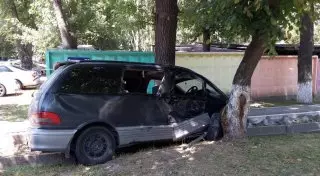 ДТП в Алматы: "минивэн" врезался в дерево, пострадала девушка