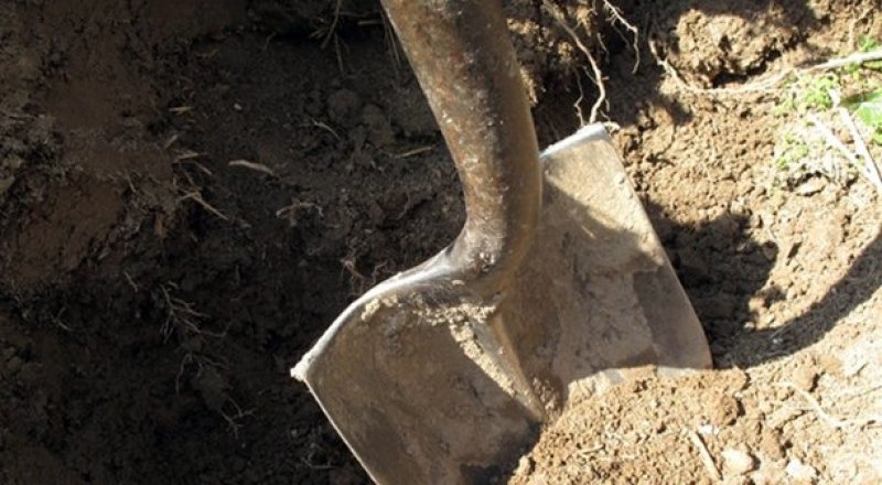 Фото с сайта чувашия.онлайн