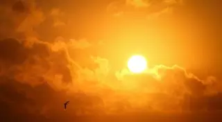 Из-за жары в Японии госпитализировали более 600 человек