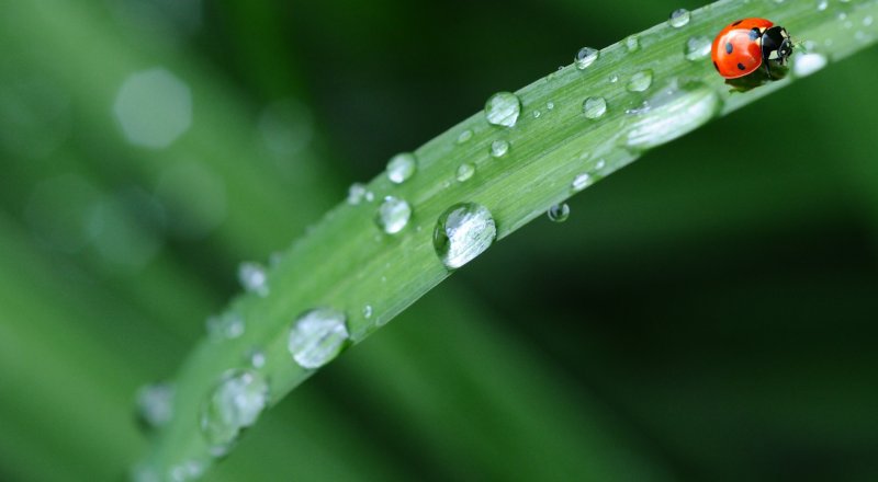 Иллюстративное фото с сайта pexels.com