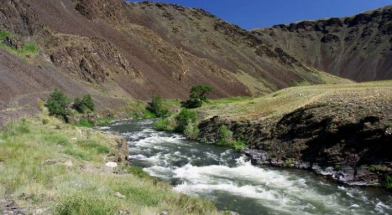 Река Калжир. Фото с сайта oskemen.info