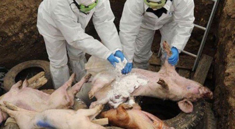 Фото с сайта omskregion.info