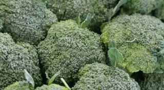 Продавшего брокколи под видом марихуаны американца посадили на 16 лет