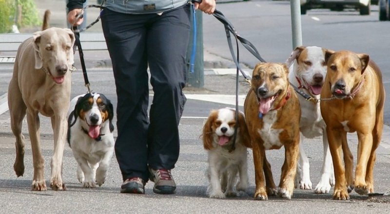 Фото с сайта astana.gov.kz