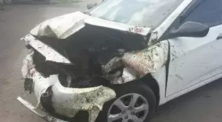 "Бараны были разбросаны по дороге". Жительница Астаны рассказала о ДТП на трассе