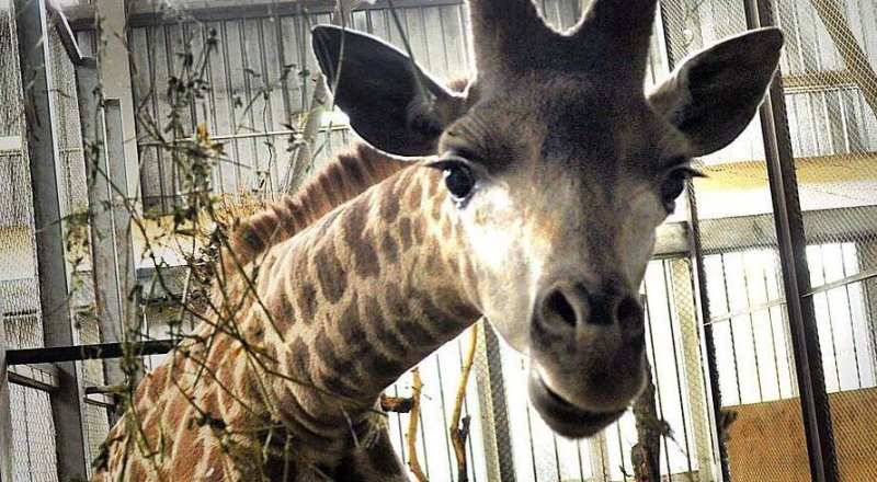 Фото Ержан Еркинбаев