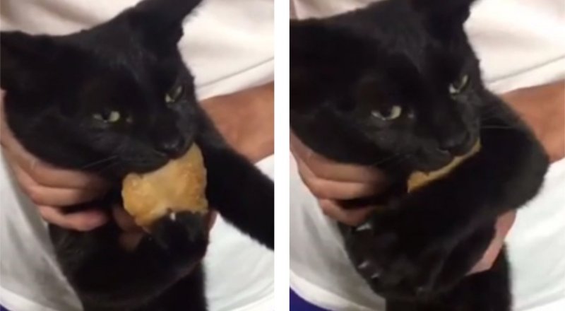 Кадры из видео