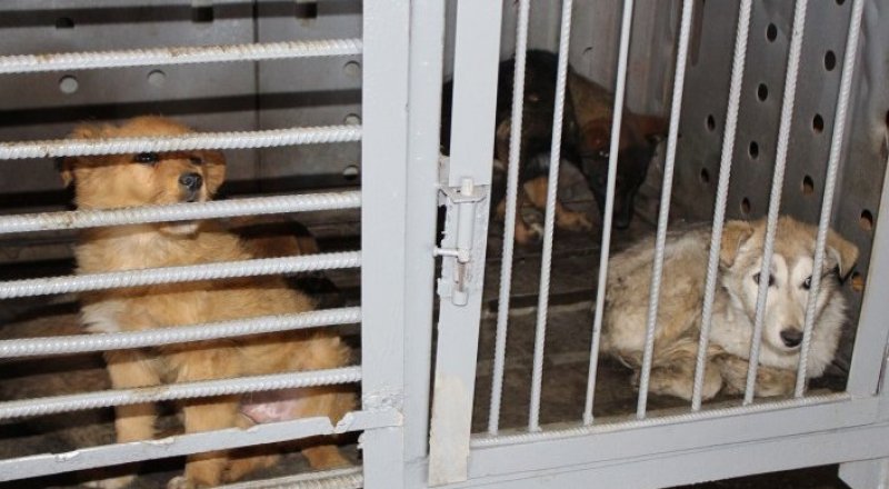 иллюстративное фото: Tengrinews.kz