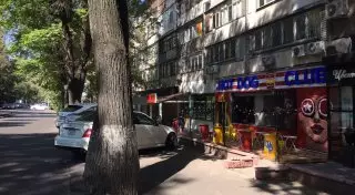 "Начали сохнуть и скоро погибнут" - закатанные в асфальт деревья обеспокоили алматинцев