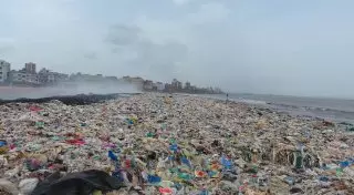 Индус за два года очистил пляж от 5 миллионов килограмм мусора