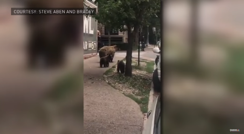 Кадр из видео