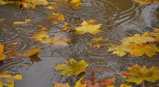 Похолодание прогнозируют синоптики