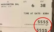 СМИ объяснили, что означает таинственный код SSSS на посадочном талоне