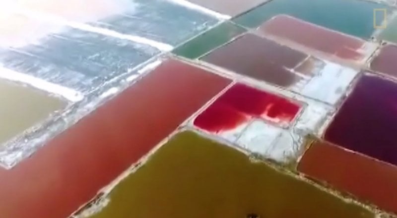 Кадр из видео  China's 'Dead Sea' Tranforms Into Rainbow - Here's Why / Nationalgeographic.com