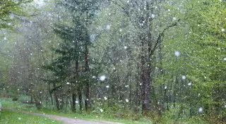 Вероятность шторма 90 процентов. Синоптики сообщают о сильных осадках и похолодании