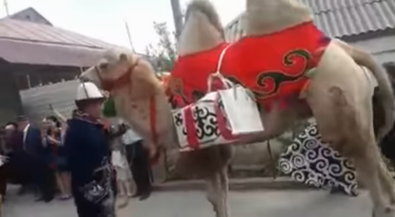 Кадр из видео