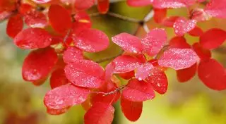 Ждать ли "бабье лето": Прогноз погоды на октябрь