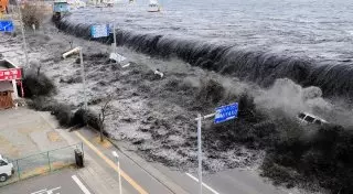 Рекордное количество радиоактивных веществ возвращается в мировой океан - исследование
