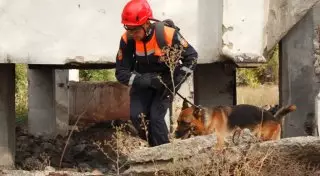 Частично обрушилось здание школы в Карагандинской области: пострадал 1 человек